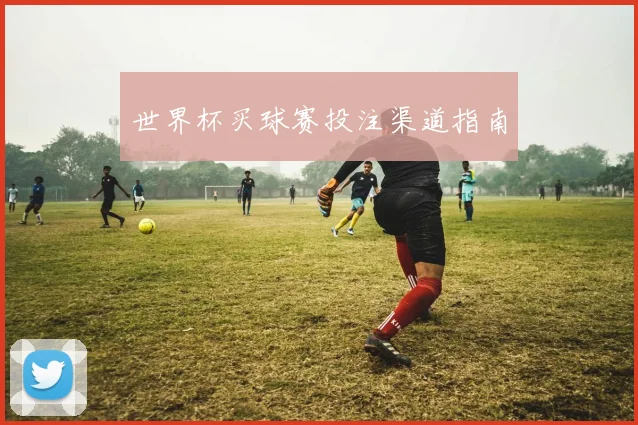 世界杯买球赛投注渠道指南