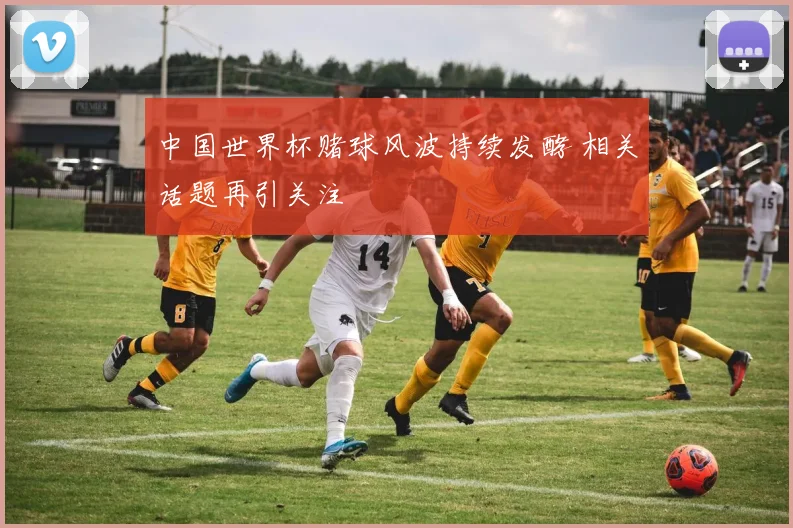 中国世界杯赌球风波持续发酵 相关话题再引关注