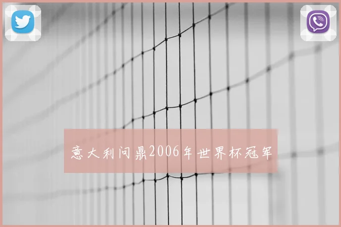 意大利问鼎2006年世界杯冠军